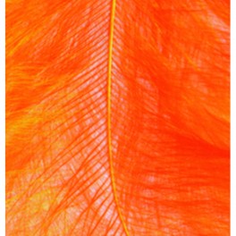 Marabufedern orange