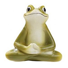 Yoga Frosch 2