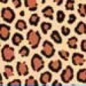 Color-Dekor 180° Leopard