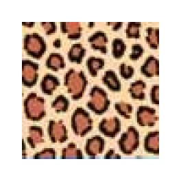 Color-Dekor 180° Leopard