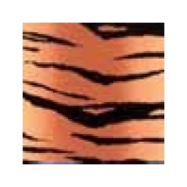 Color-Dekor 180° Tiger