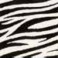 Color-Dekor 180° Zebra