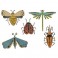 Sizzix Thinlits Die Set - Funky Insects Tim Holtz