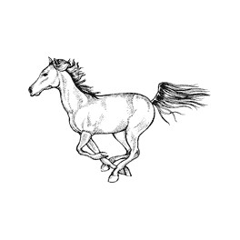 Motivstempel "Pferd im Gallop"